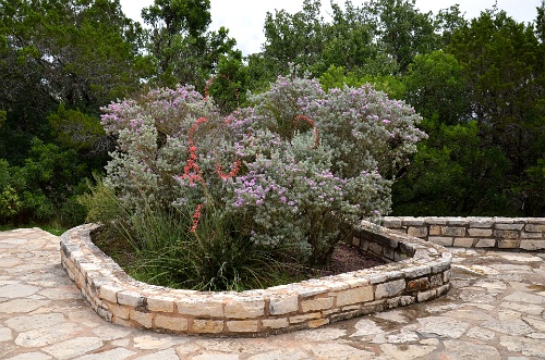 Violets and Reds Contained  Violets and Reds Contained